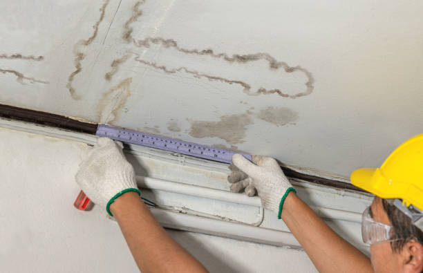 Reliable Mold Remediation contractor in South Walpole, MA by Water Damage Irwin